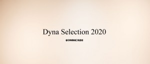 Dselection2020kv